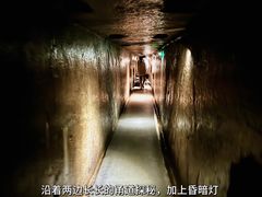 -徐州龟山景区