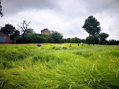 -汉长安城未央宫国家考古遗址公园