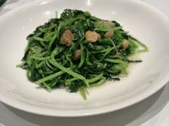 -祥记餐饮•豫粤珍味(金隅大厦店)