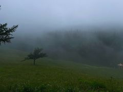 -驼梁风景区
