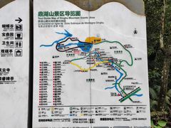 -鼎湖山风景区
