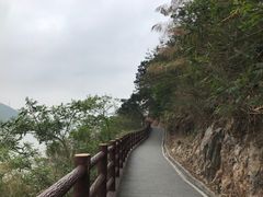 -羚羊峡古栈道森林公园