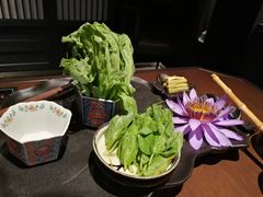 珍菌三色腐竹豆乳锅-敦煌神画 (三十三城店)
