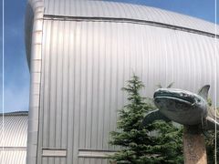 -烟台海昌鲸鲨海洋公园