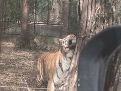 -秦皇岛野生动物园