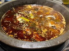 -石锅苗苗鱼(武汉首店)