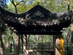 -灵岩山风景区