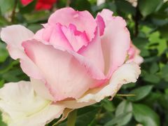 -无锡市市民中心