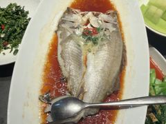 -鸽子侯·家宴·平价海鲜(绿地店)
