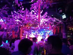 -周庄红庭演艺酒吧