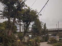 -三圣花乡旅游区