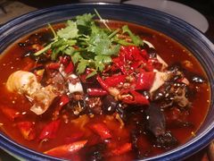 -绿茶餐厅(华联万柳店)