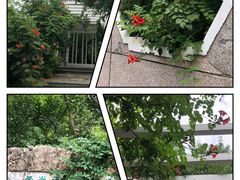 -国家植物园南园