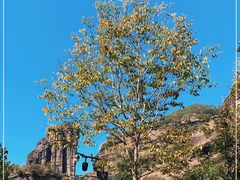 -武夷山风景名胜区-玉女峰