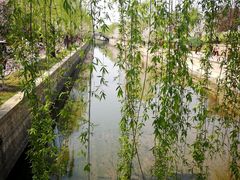 -海棠花溪(元大都城垣遗址公园)
