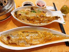 -孔庆璞河豚馆(白玉兰酒店)