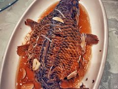 蹦鲤鱼-登瀛楼(鼓楼店)