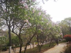 -山东大学(趵突泉校区)