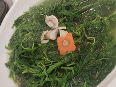 -东江渔村·古典园林·30年粤菜老字号(太和店)