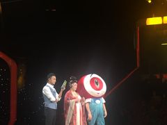 -中央广播电视总台(光华路办公区)