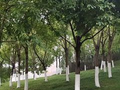 -重庆中央公园(渝北区)