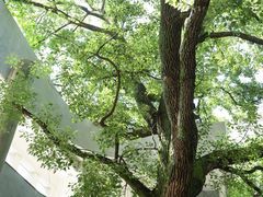 -湖北美术学院(昙华林校区)