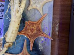 -千岛蚝高压锅生蚝·人参火锅(白云万达店)