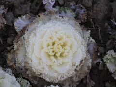 -白塘生态植物园