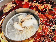 -大龙火锅(龙潭寺旗舰店)