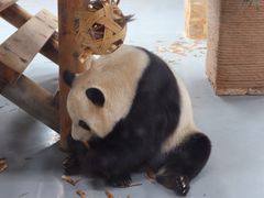 -无锡动物园·太湖欢乐园