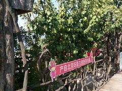 -呀路古热带植物园
