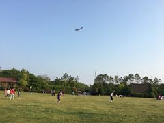 -上海海湾国家森林公园