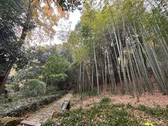 -杭州黄龙洞