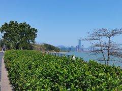 -深圳湾公园(南山区)