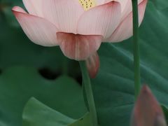 -梁鸿国家湿地公园