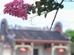 -资政大夫祠