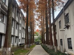 -东信·和创园