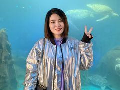 -广东惠东海龟国家级自然保护区