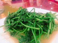-旭龙鱼头王(航华店)