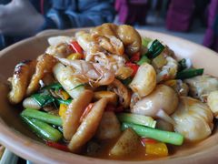 -一撮毛美食城(全力一路店)