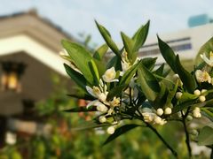 -陈李济中药博物馆