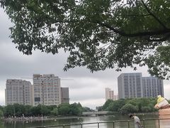 -南翔镇银翔湖公园