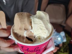 -Dooley's Premium Ice Cream