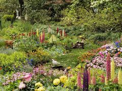 -上海共青森林公园