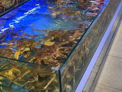 -驻海渔市(置信店)