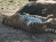 -云南野生动物园
