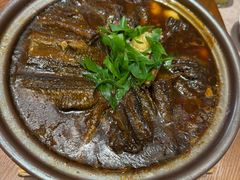 -丁老爷子苏香圆