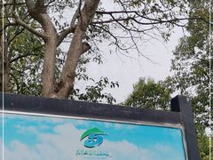 -大蜀山国家森林公园
