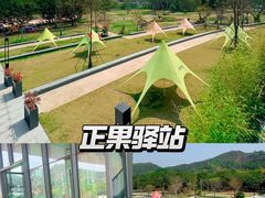 -丰依竹食·老牌竹筒饭