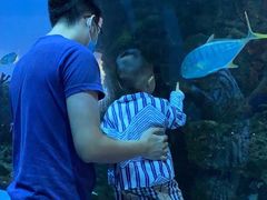 -乐从天佑城海洋馆